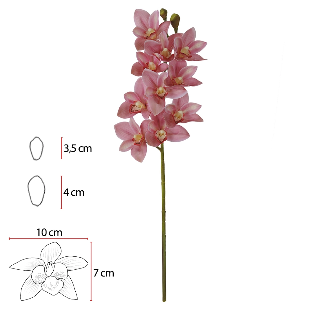 Haste Orquidea Cymbidium Coatx10 Rs 75cm 42506002 Flor Arte