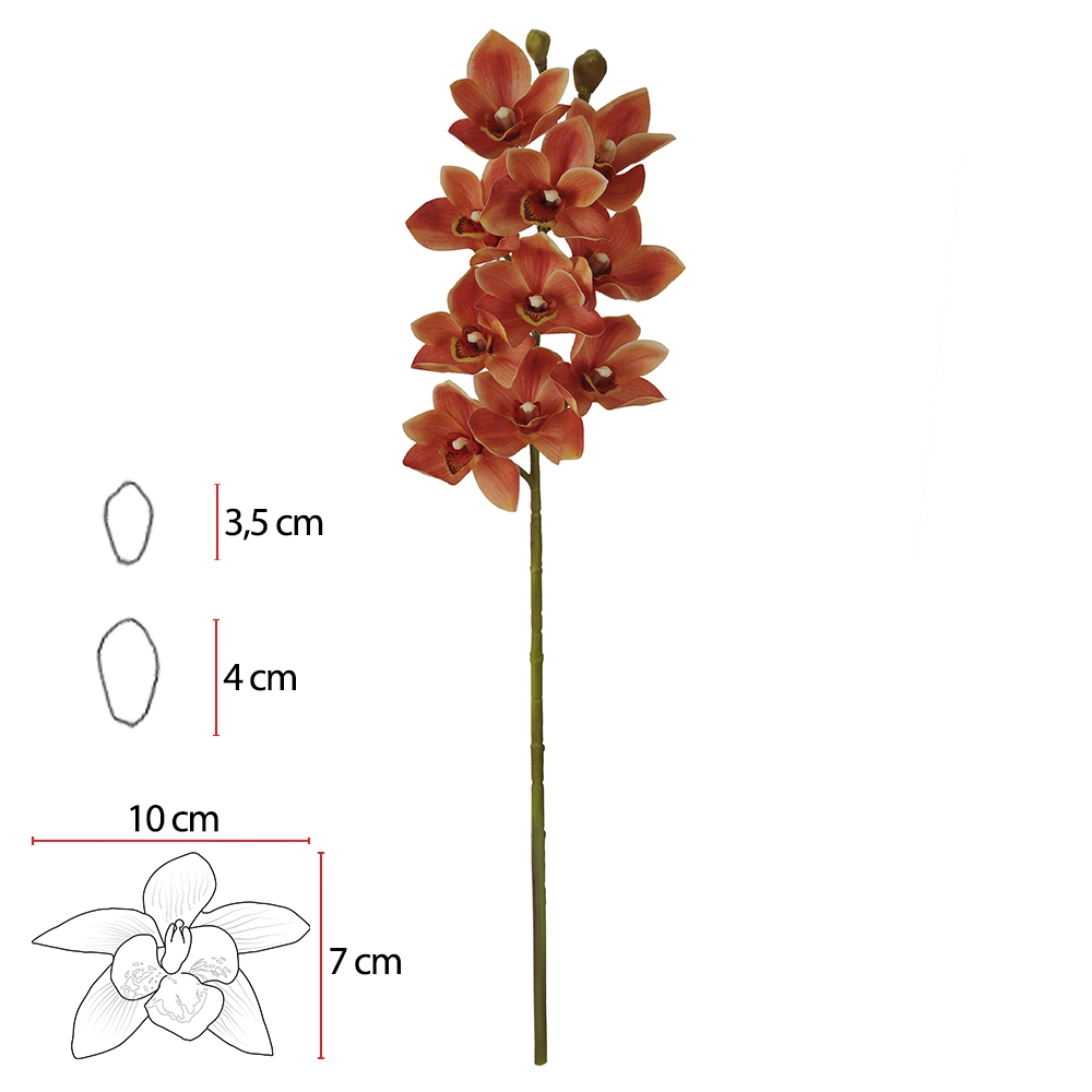 Haste Orquidea Cymbidium Coatx10 Lr 75cm 42506003 Flor Arte