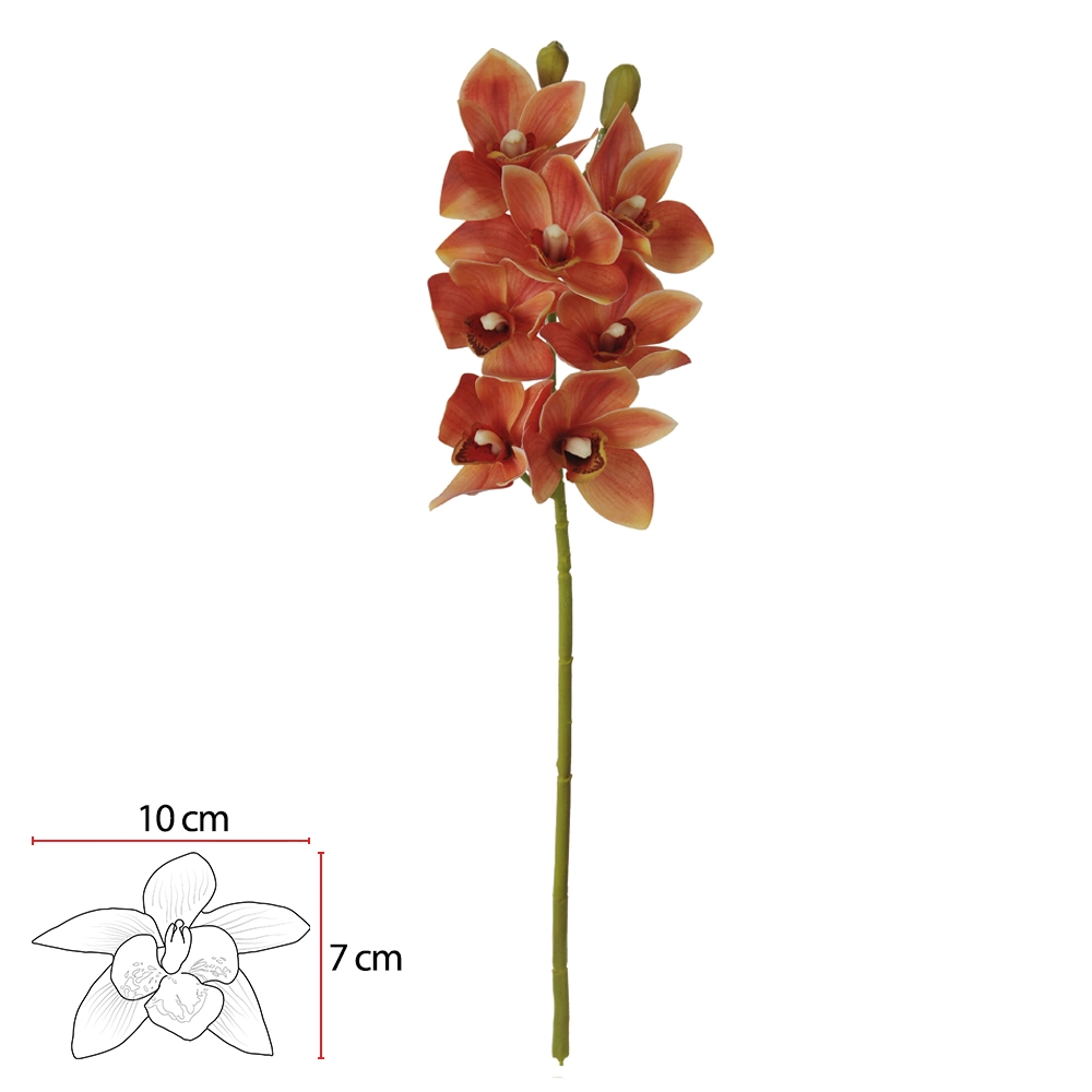Haste Orquidea Cymbidium Coatx7 Lr 67cm 42508001 Flor Arte