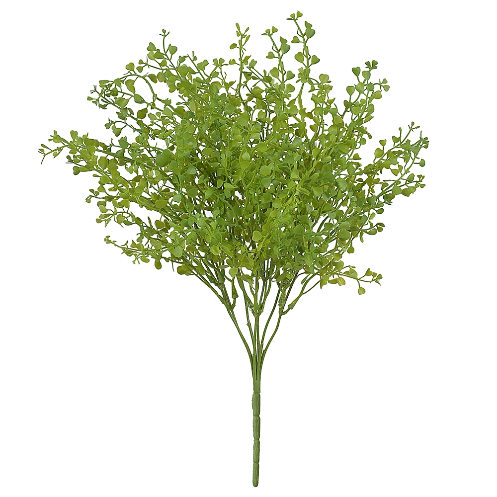 F Cucullata Print Plt X7 40cm Verde 42528002 Flor Arte