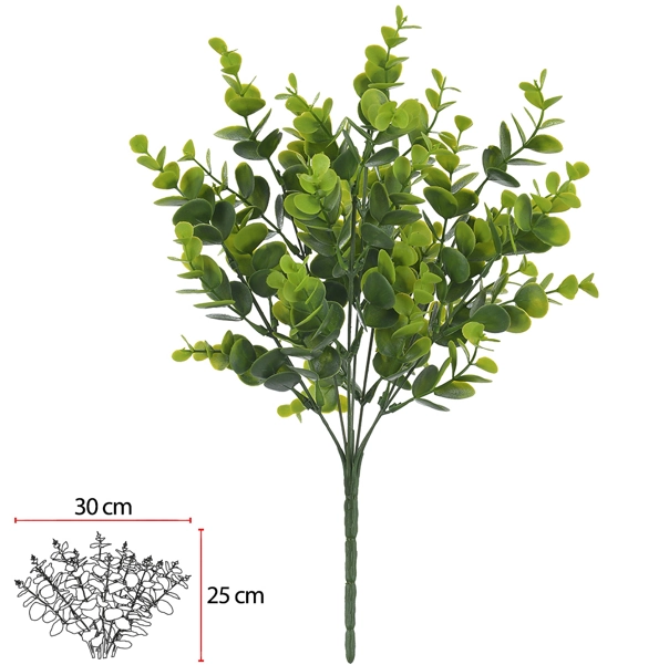 F.eucalipto Plt. X35 Vde 35cm
