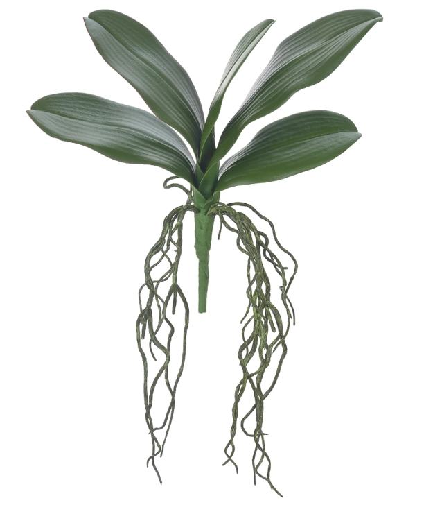 F Folha Orquidea X5 32cm Verde 42640001 Flor Arte