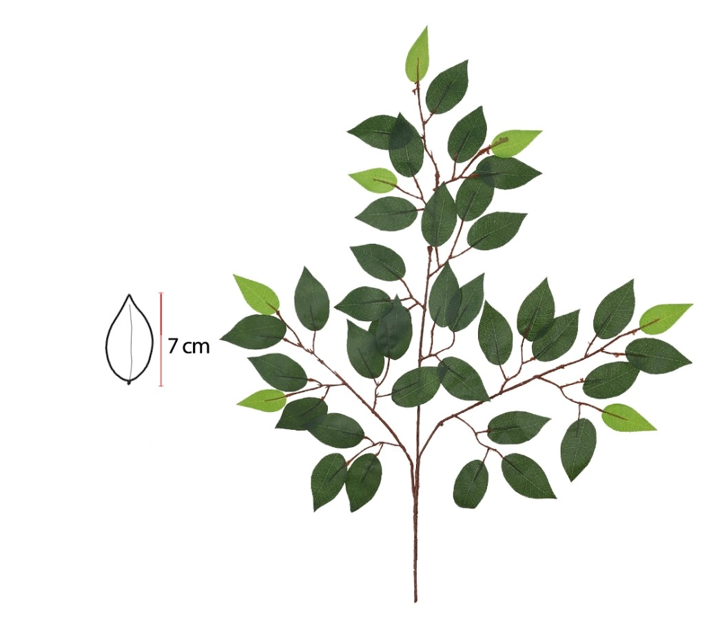 Comple Ficus X42 Vd Mr 60cm 42969002 Flor Arte