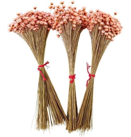 Sempre Viva 40cm Salmon 60807 Flor Arte