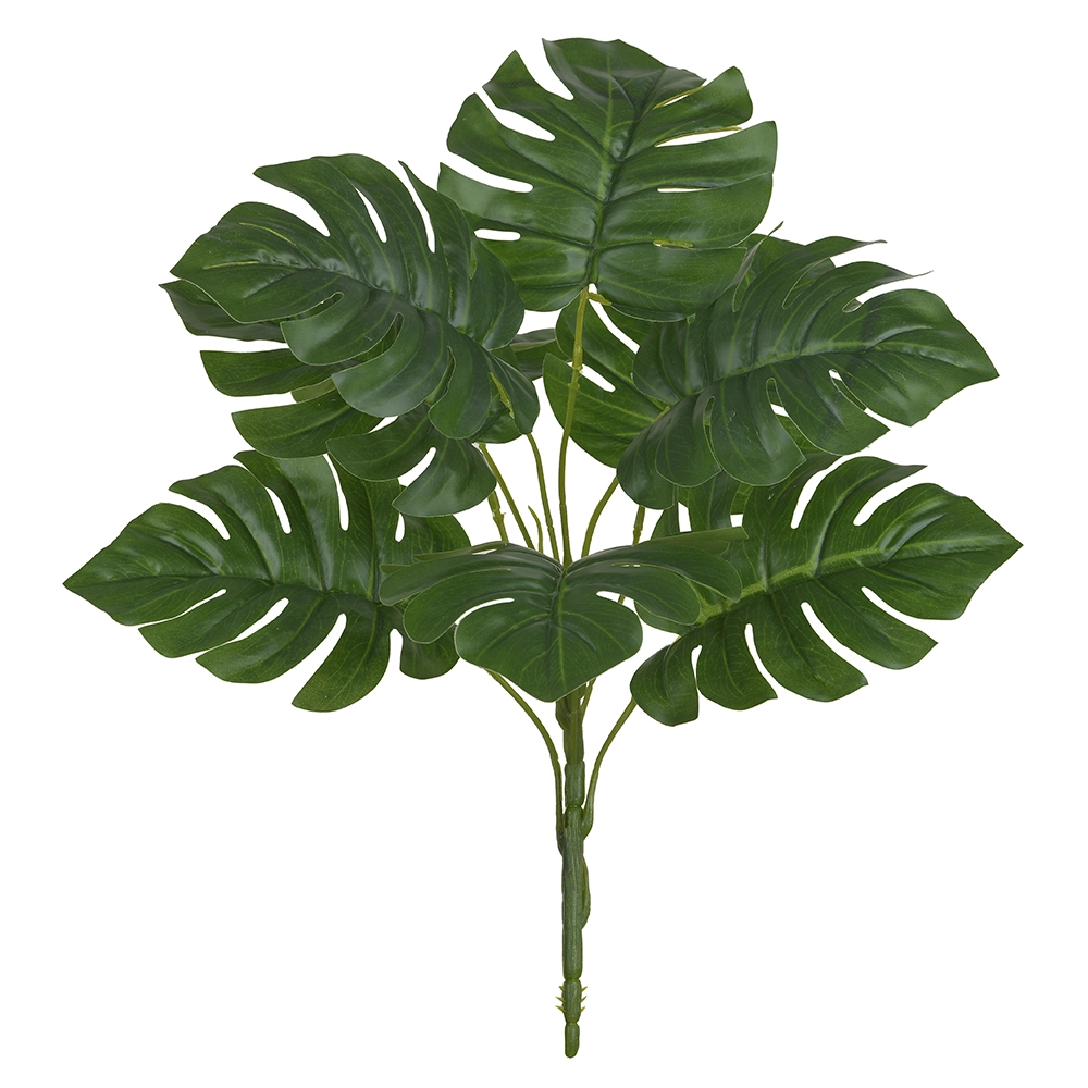 F.costela De Adao Forracao Real Toque X9 Verde 40cm Florarte Vol. 2 Ref 43121003