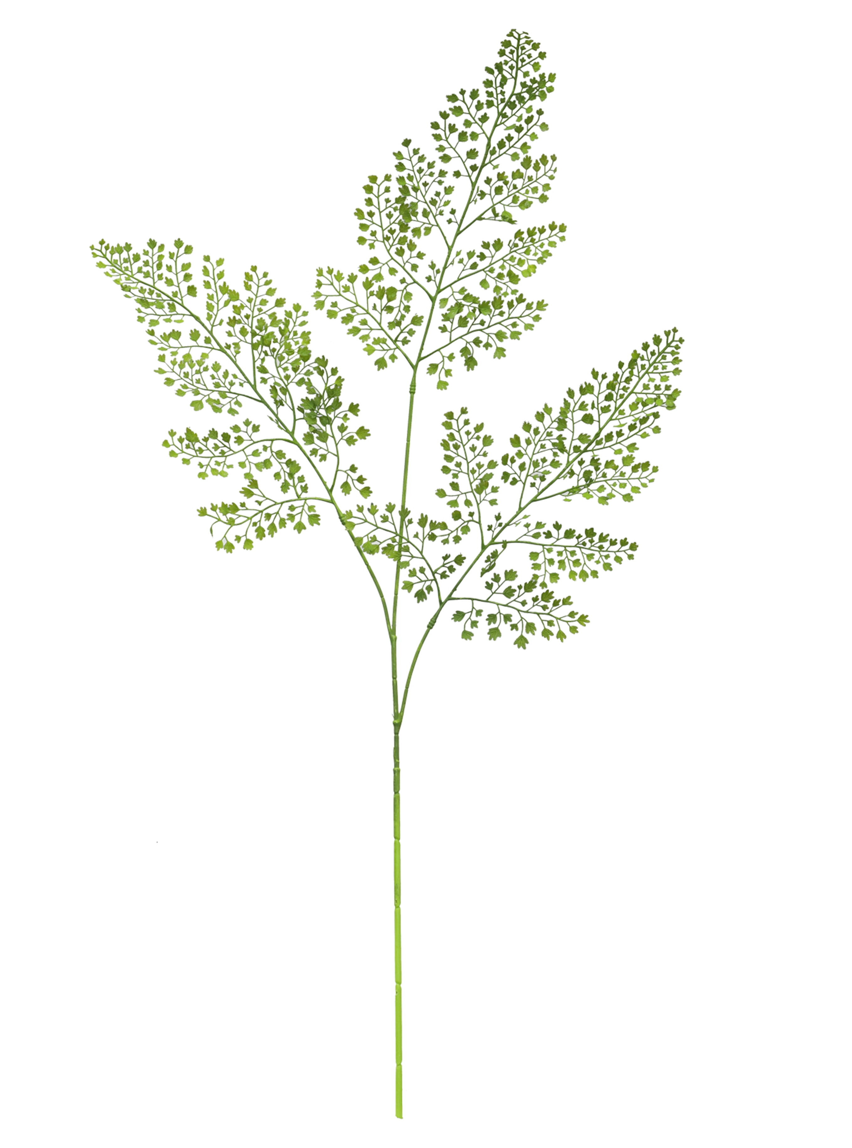 C Mamona Creme X30 57cm 43195001 Flor Arte