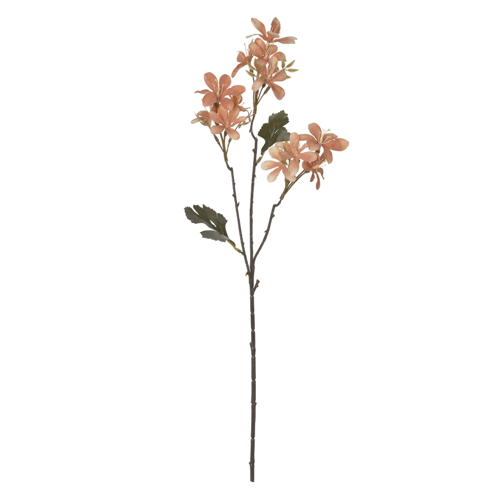 H.flor Do Campo X12 Ocre Outono 2t 56cm