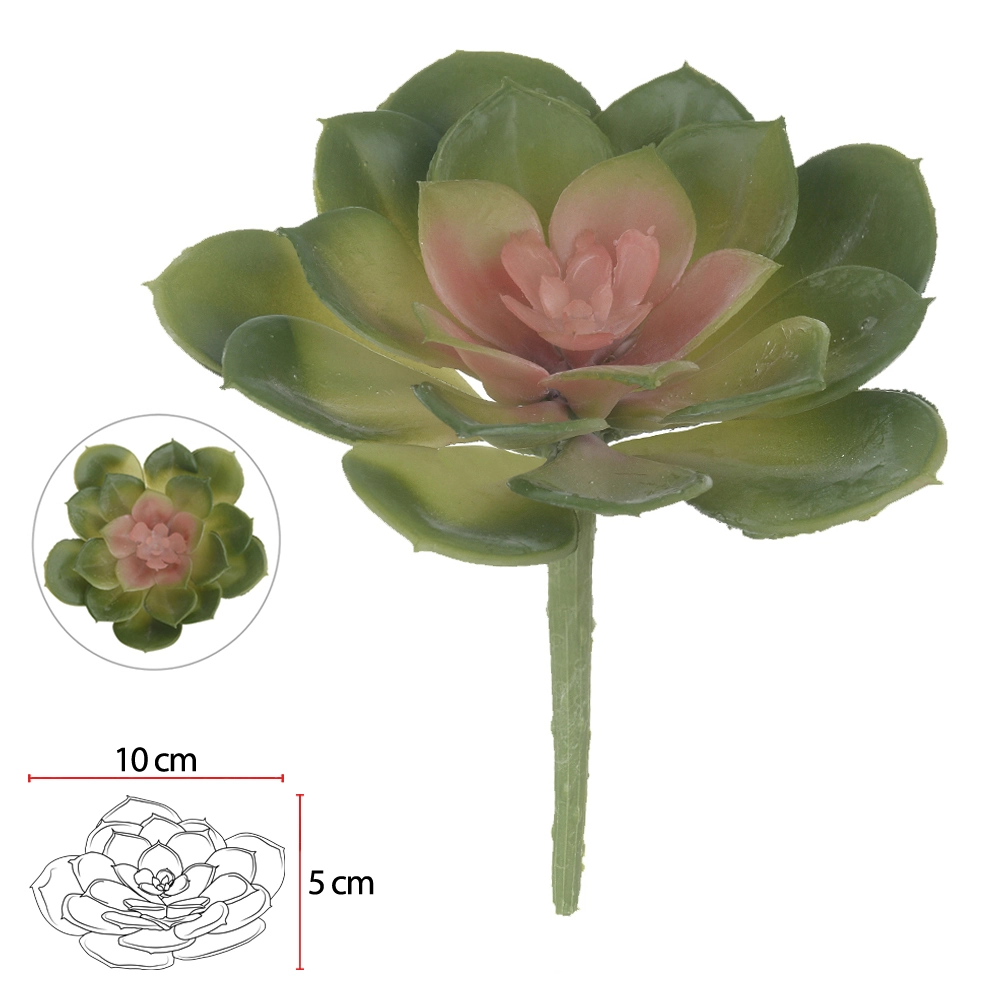 Suculenta Verde Rosa 9cm 19126017 Flor Arte