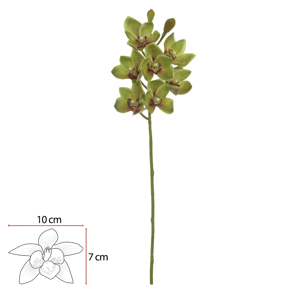 HASTE FLOR ORQUIDEA CYMBIDIUM C/COAT REAL TOQUE X7 VERDE 67cm (FLORARTE)