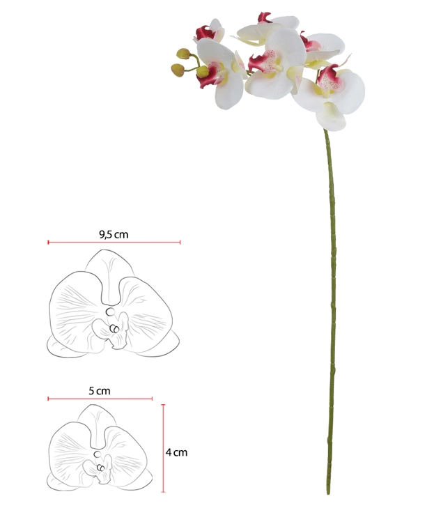 Haste Orquidea Phalaenopsisx6 Bco Beauty 69cm 42509004 Flor Arte