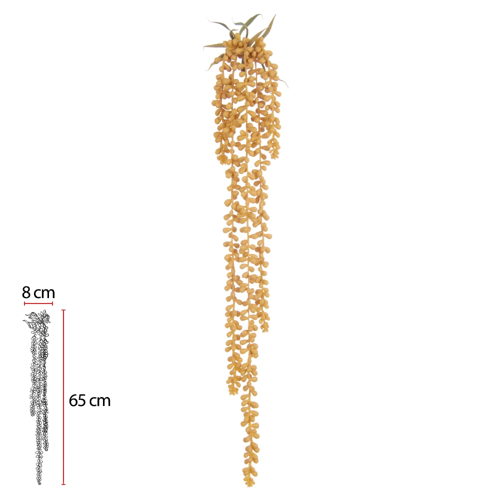 Suculenta Sedum Pendurar X5 72cm 20036006 Dea