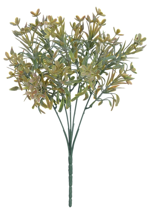 F Podocarpus Powder Plt X15 30cm Verde Outono 43459002 Flor Arte