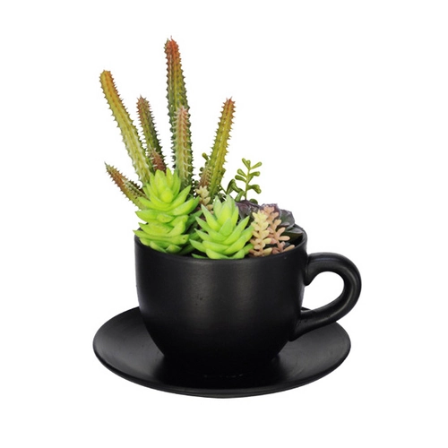 Suculenta Sortida C/vaso Verde 20cm
