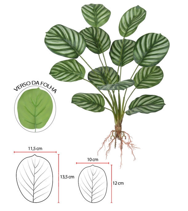 Arvore Calathea Raiz X12 56cm Verde Branco 43509004 Flor Arte