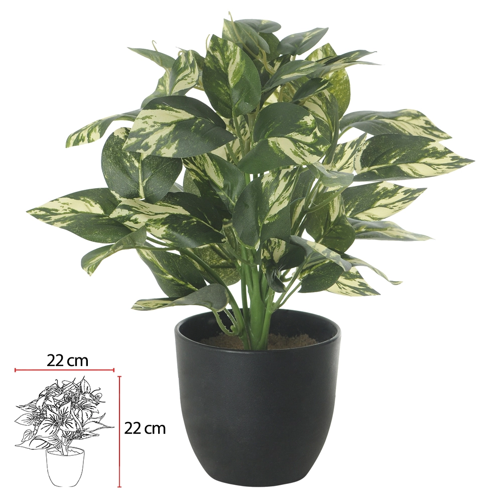 F Jiboia Pote Verde Branco X60 27cm 43563001 Flor Arte