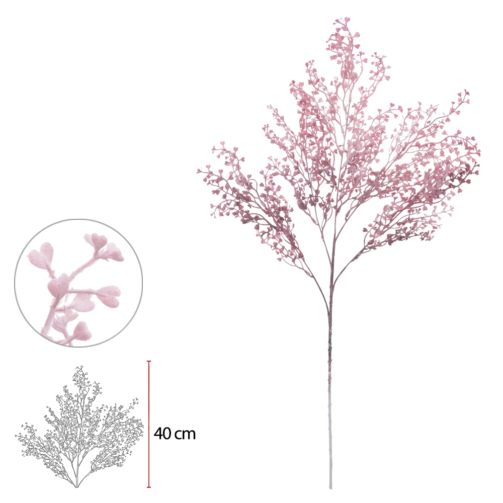 C Cucullata Print Plastico X34 80cm Beauty 43567007 Flor Arte
