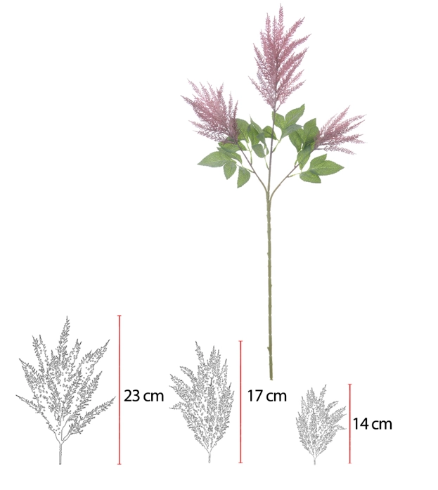 C Astilbe Print X51 98cm Beauty 43569006 Flor Arte