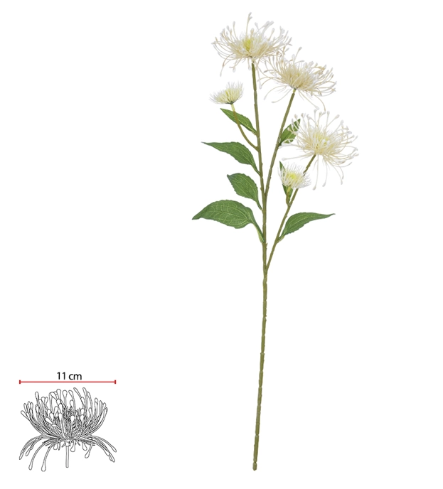 H Protea Plt X5 76cm Off White 43594001 Flor Arte