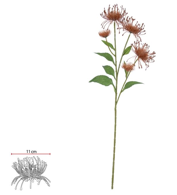 H Protea Plt X5 76cm Ocre 43594006 Flor Arte