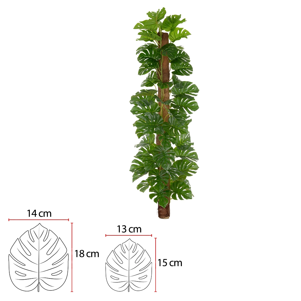 A Costela De Adao Real Toque Verde X54 1.2m 43597001 Flor Arte