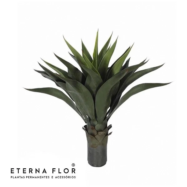 A Agave X24 58cm Verde 17579001f Fa