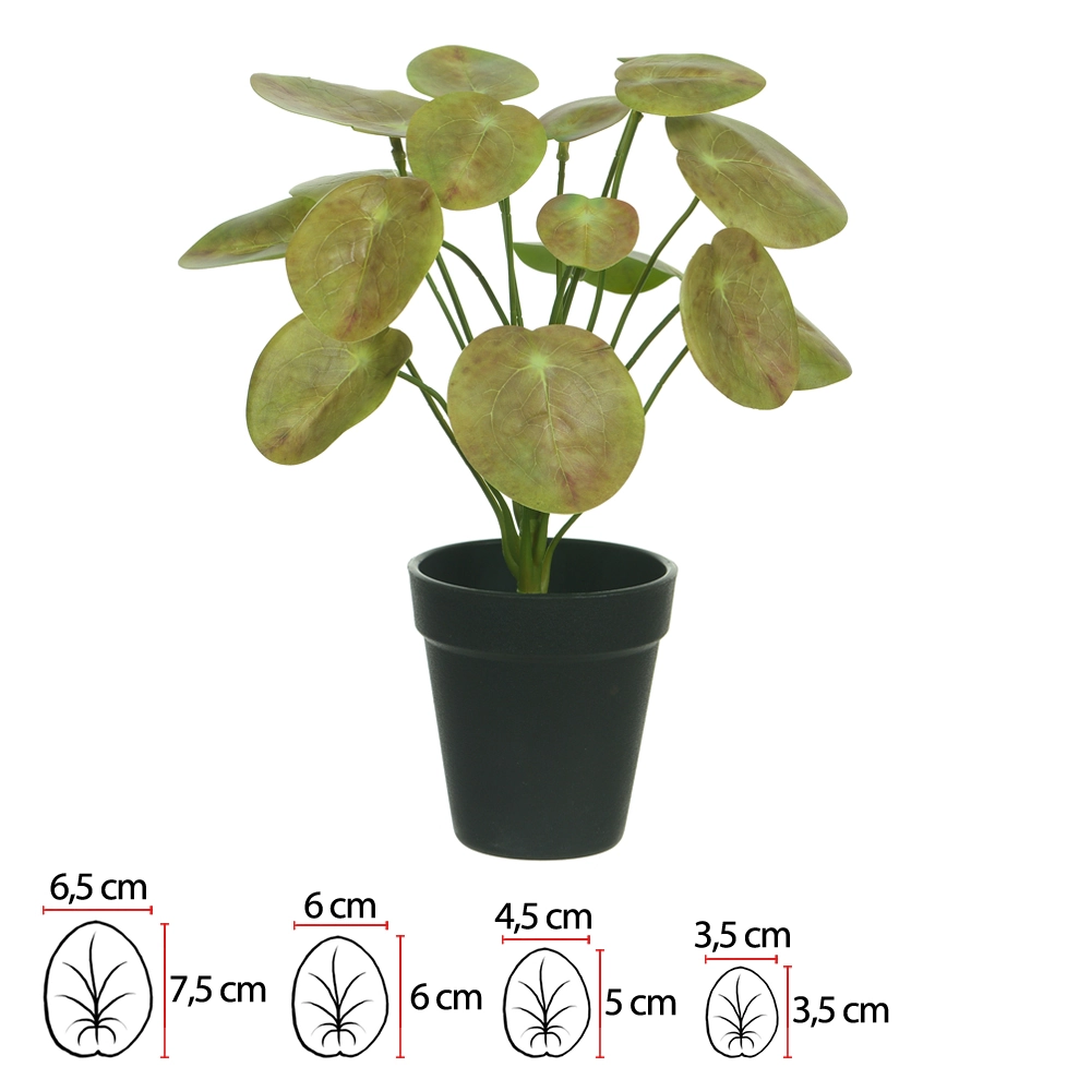 Arvore Pilea Real Toque Pote Verde Outono X16 36cm 43808003 Flor Arte
