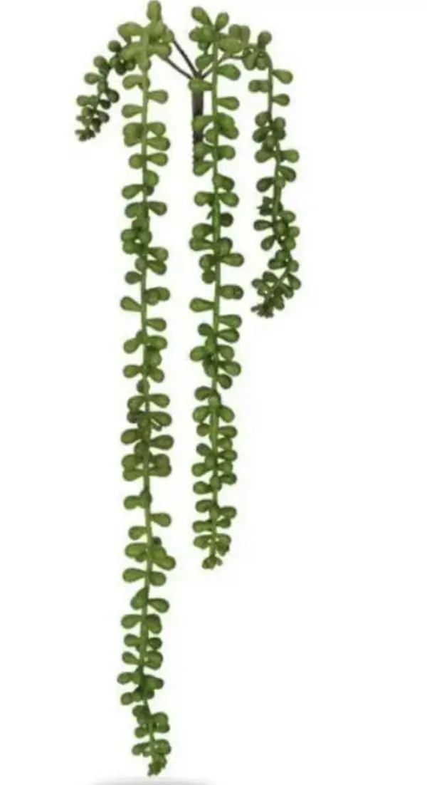 FOLHA SUCULENTA SEDUM PENDURAR X4 VERDE 50cm (FLORARTE)