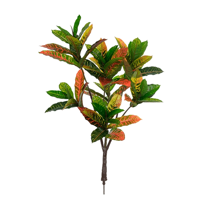 A.croton X21 Vermelho 1m Ref.23450009 Dea