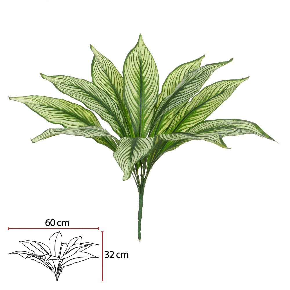 Folhagem Dracena Fragrans X11 50cm 43119006 Dea