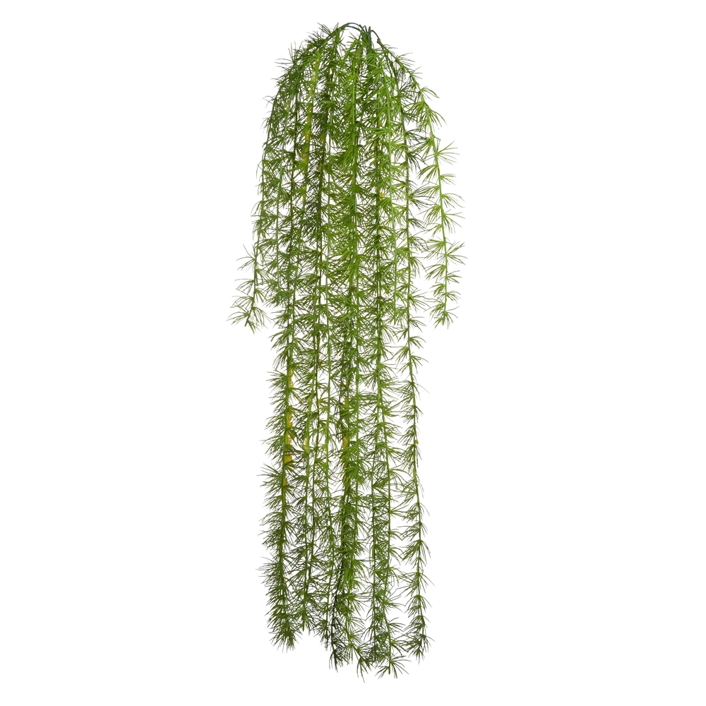 Folhagem Aspargo Pendurar Print Plastico X15 Verde 1m 43917001 Dea