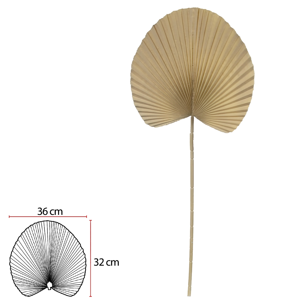 Complemento Folha Leque Palha 85cm 43951004 Dea