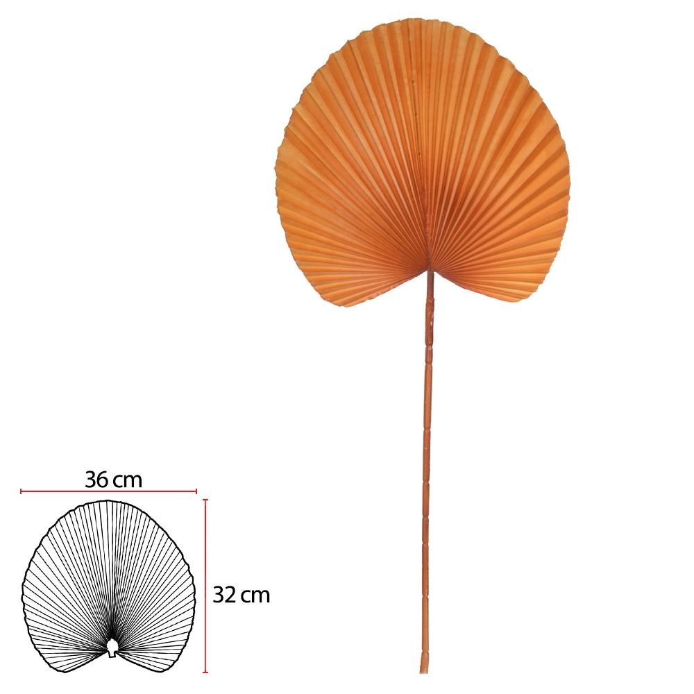 C Folha Leque Laranja 85cm
