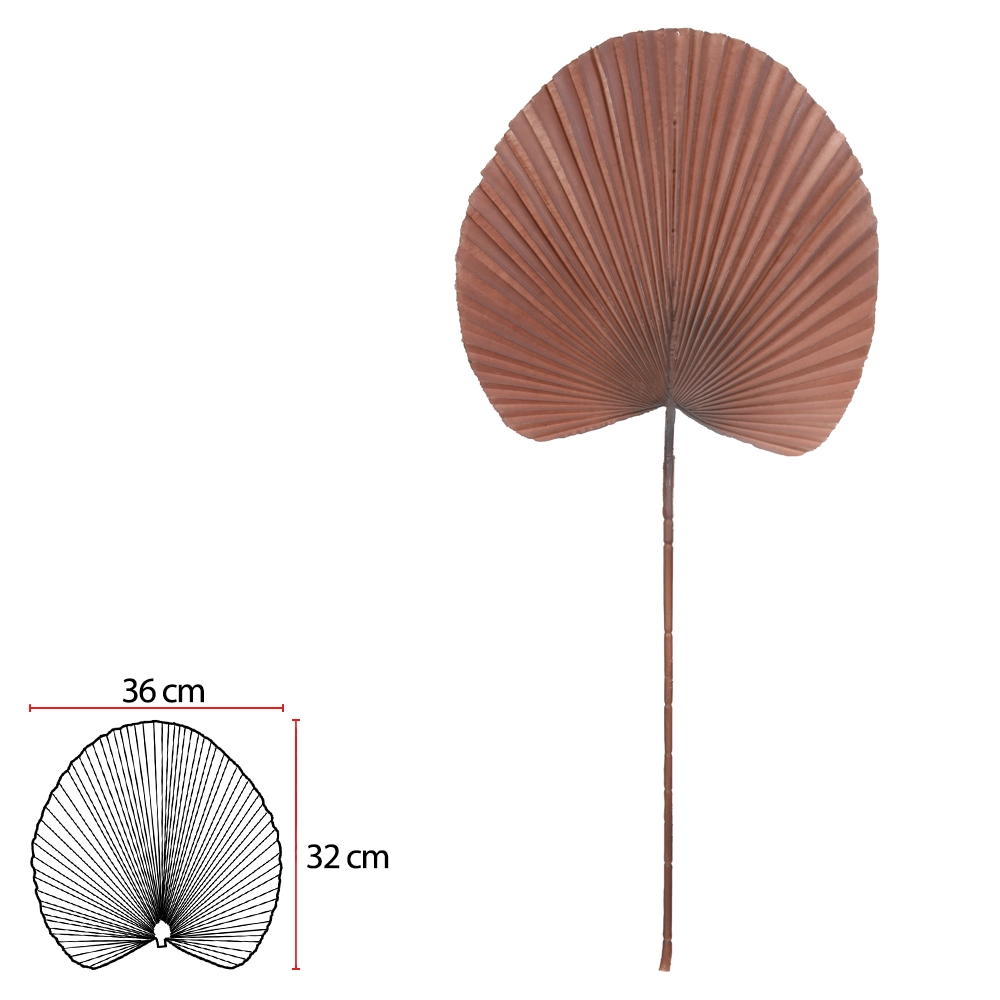 Complemento Folha Leque Nude 85cm 43951010 Dea