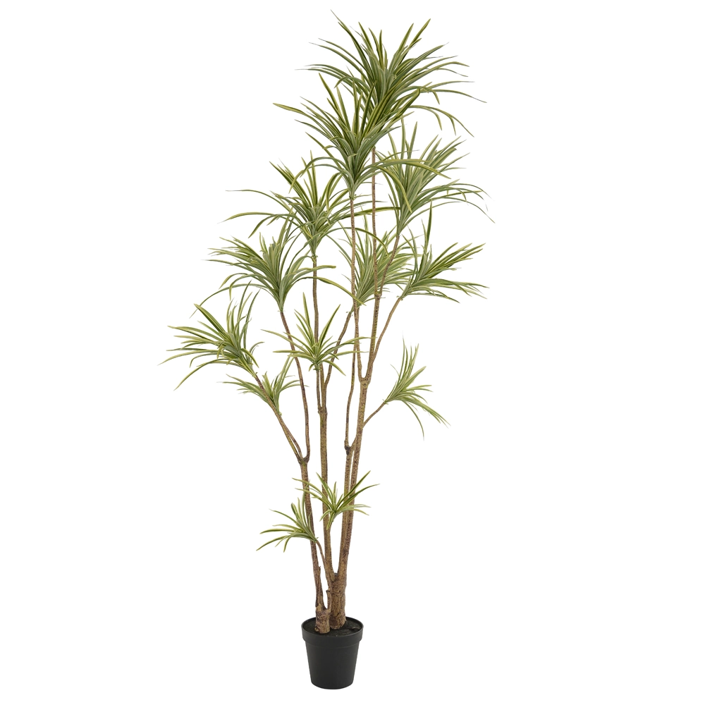 Dracena C/vaso X559 Verde Amarelo 252m