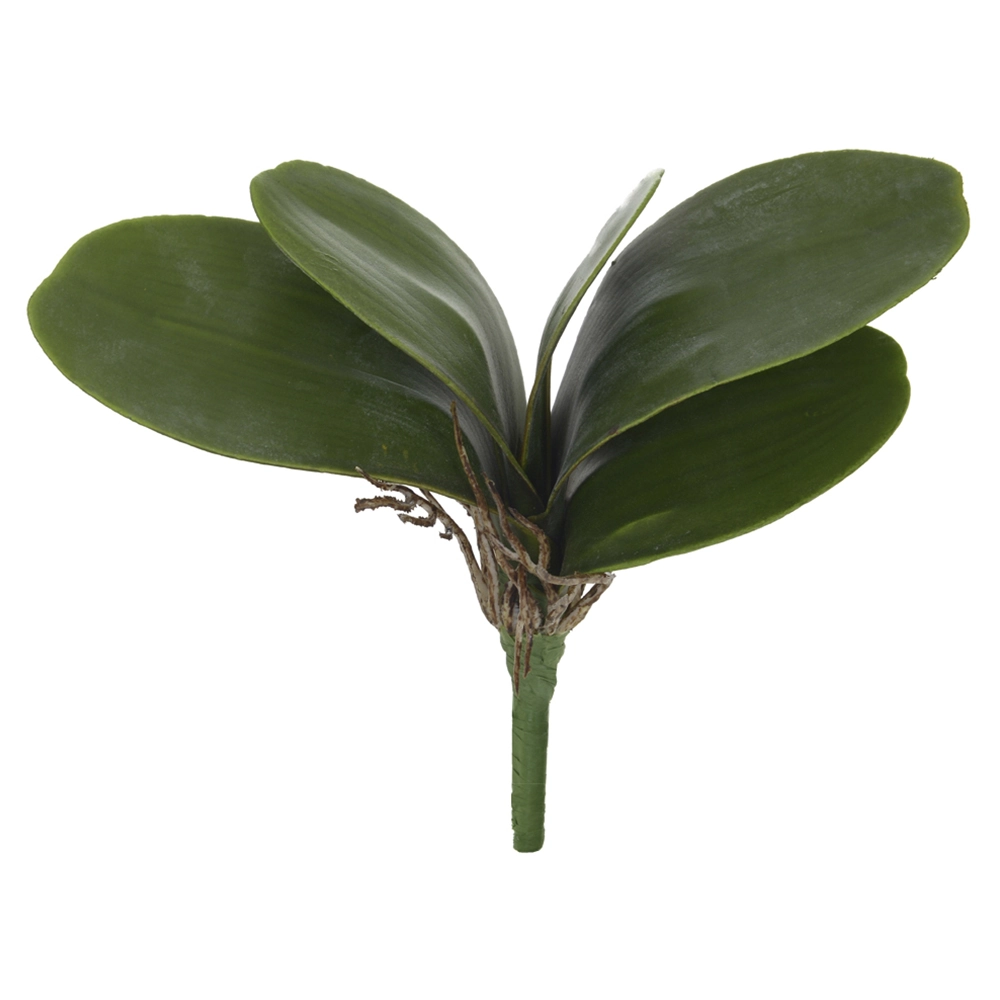 FOLHA ORQUIDEA C/ARAME PHALAENOPSIS C/POWDER X5 VERDE 22cm (FLORARTE)