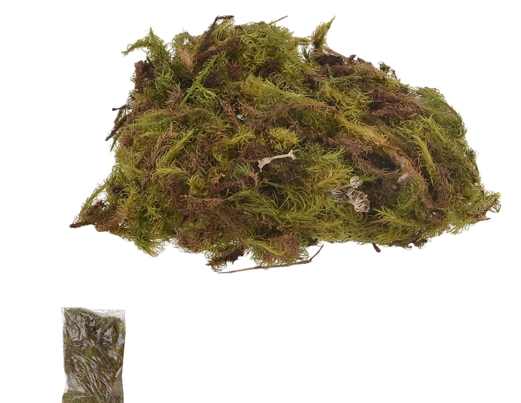 Musgo Natural Verde Saco 40g Flor Arte