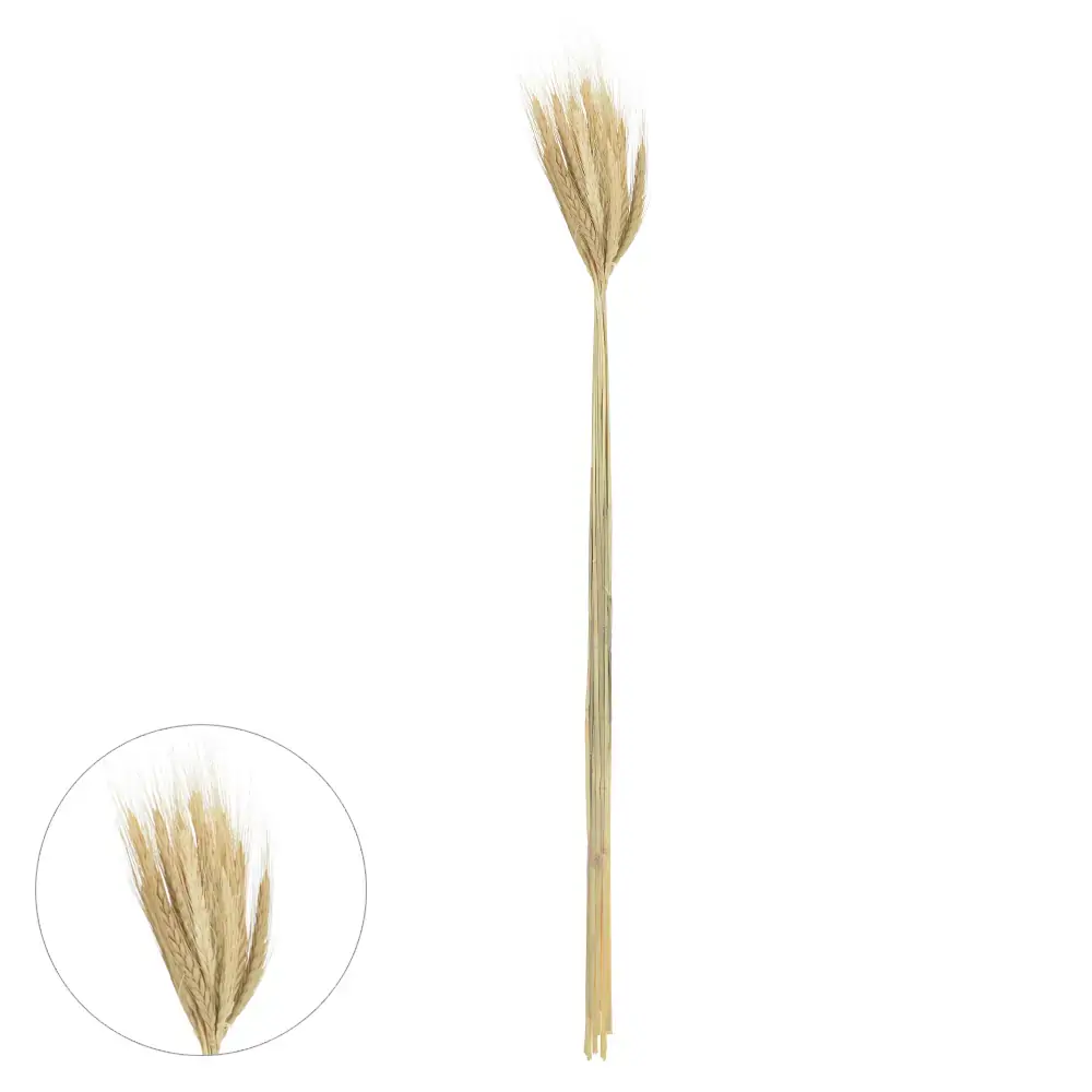 Trigo C/20 Haste Alvejado 65cm 40207 Florarte