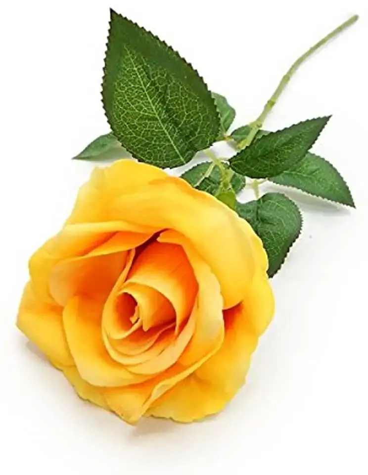 Haste Rosa Silic Hq 75cm Amarelo
