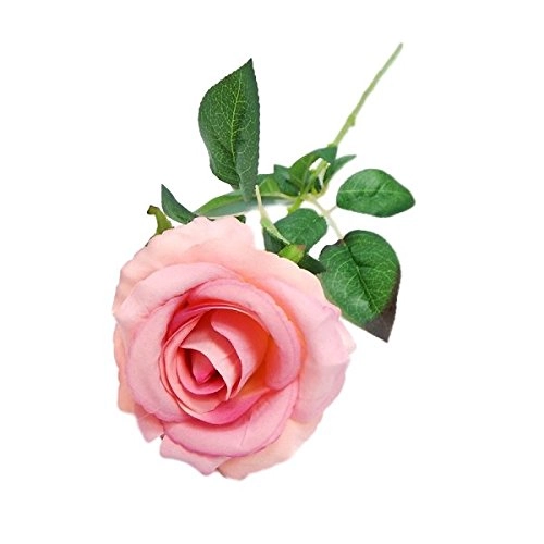 Botao Rosa 46cm Silic. Hq Creme Rosa