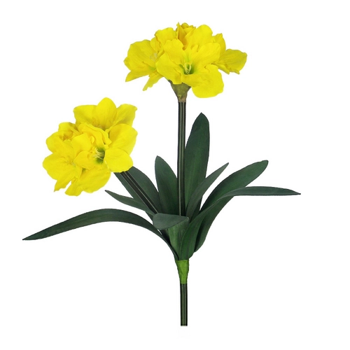 Amarilis C/powder X10 Amarelo 68cm