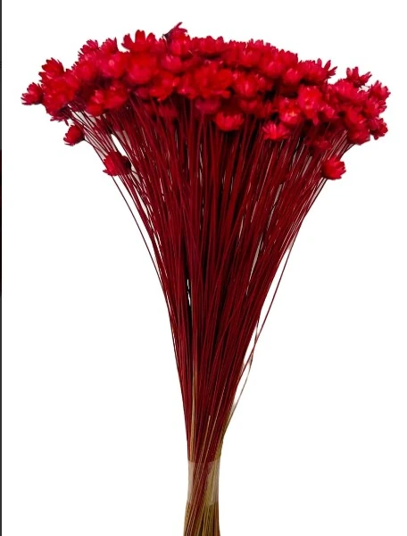 Sempre Viva 40cm Vermelha 54899 Flor Arte