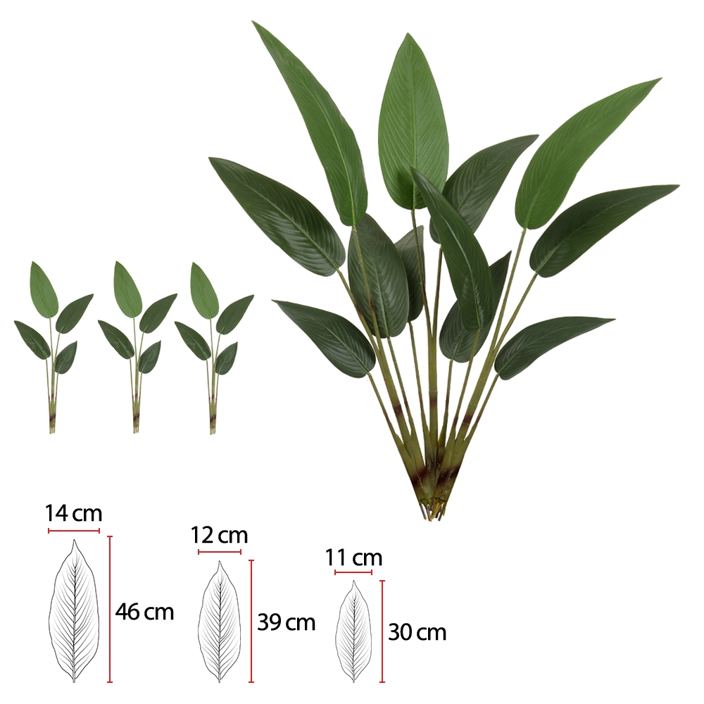 A Estrelicia X12 44989001 1.15m Flor