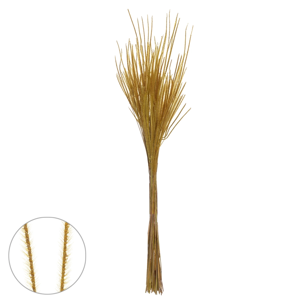 Capim Ourinho Desidratado Amarelo Dourado 60cm 66404 Dea