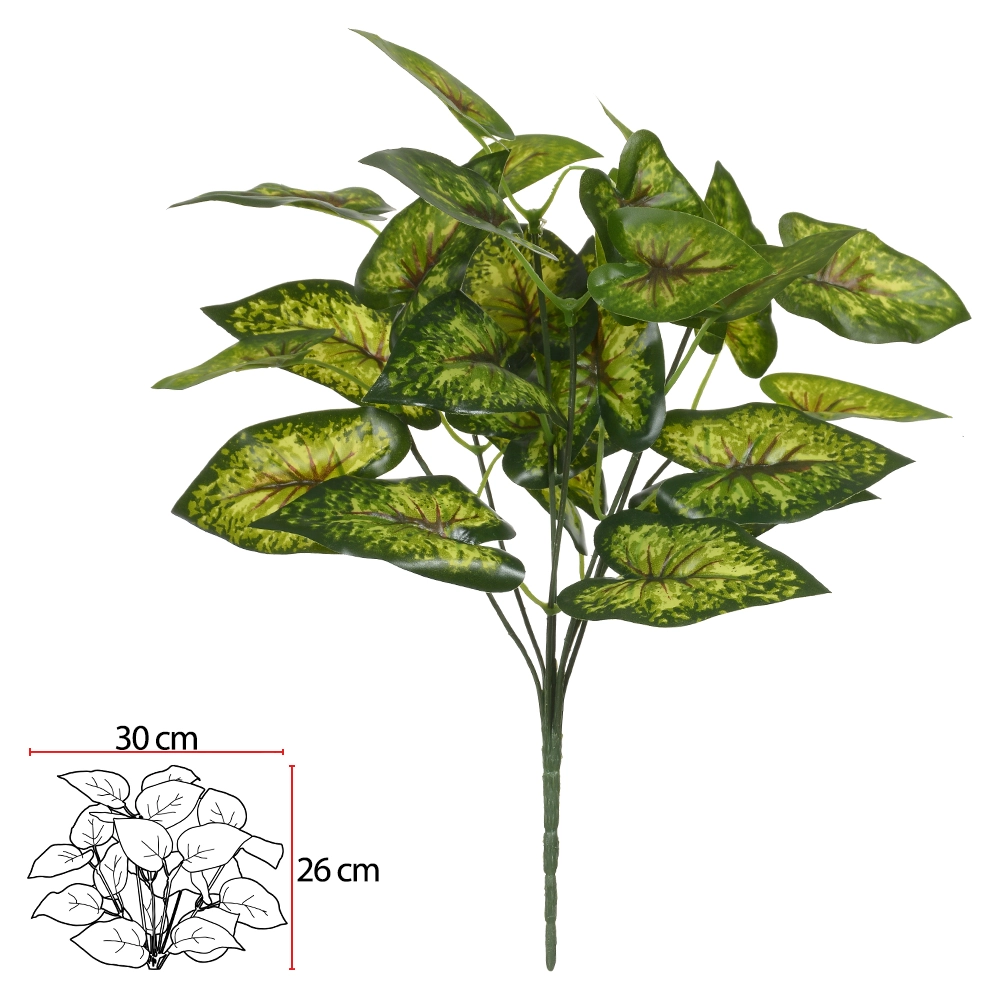 F. Caladium Forracao Real Toque X26 Verde Creme 30cm