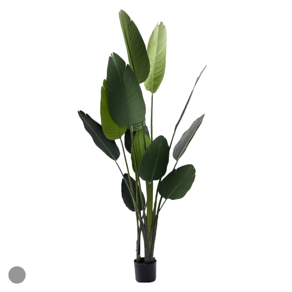 Arranjo Bananeira Jardim Pote X13 Verde 1.8m 43964001 Dea