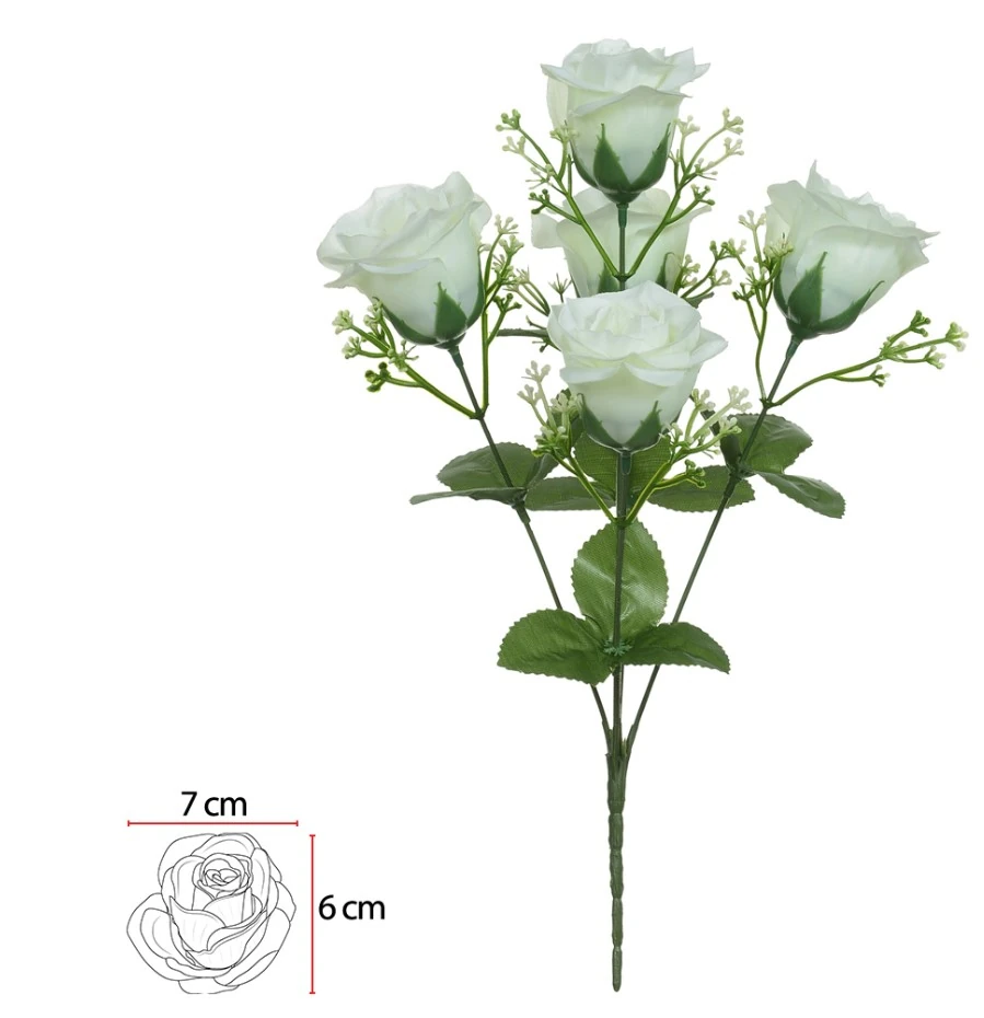 B Rosa X5 Creme 35cm