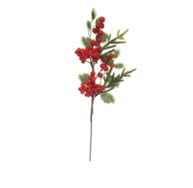 Estomazil Guarana Envelope 5g