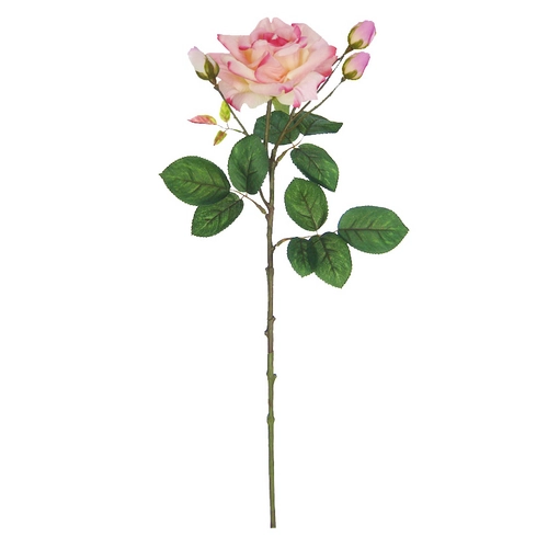 Rosa Real Toque Grace X4 Rosa 68cm