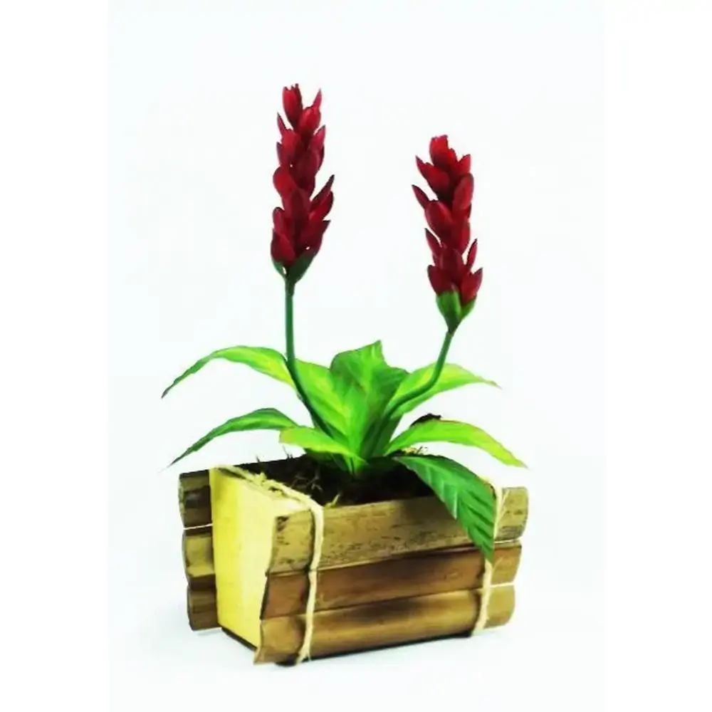F Bromelia X2 Vermelho 42cm Vol 1