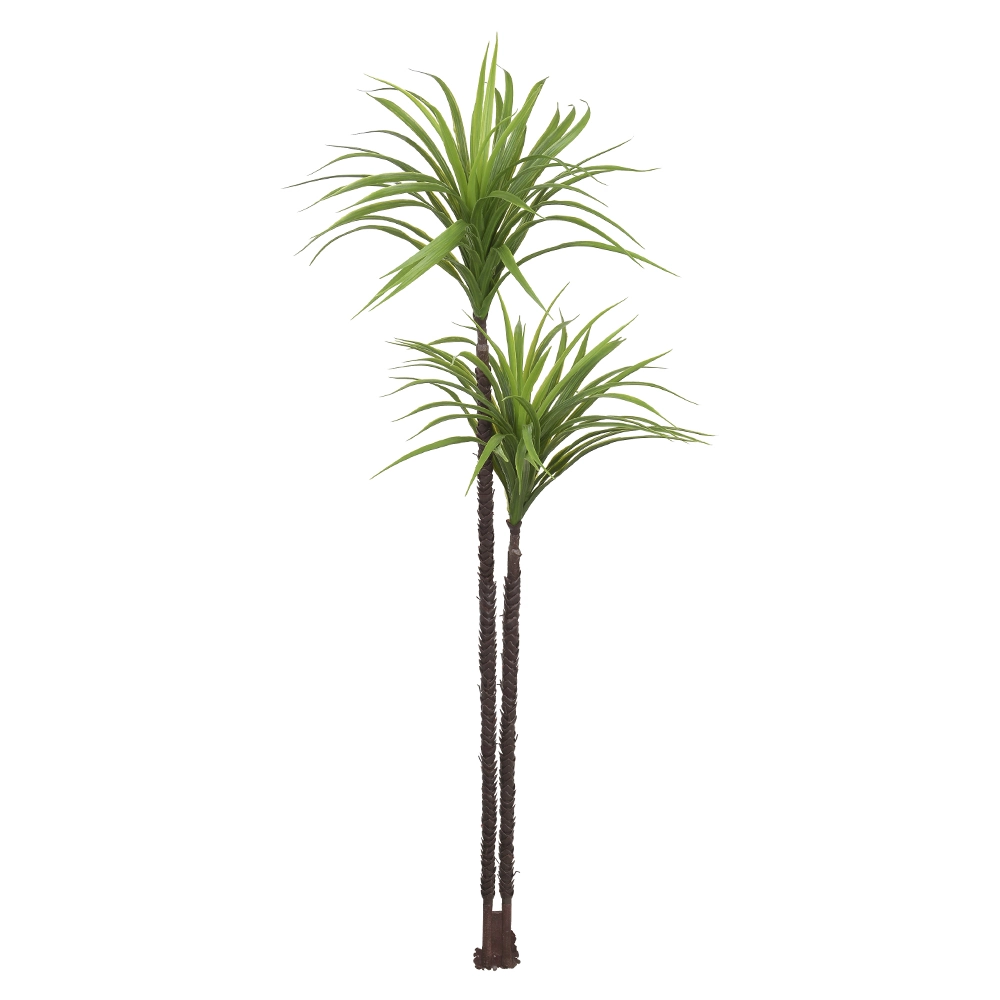 Arvore Yucca Plt. X222 160cm 02036 Sp